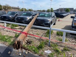 PHOTO Power Poll Snapped And Fell To The Ground During Tornado In Dallas