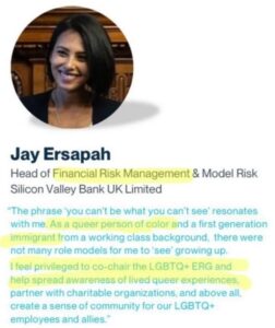 PHOTO Silicon Valley Bank's Head Of Risky Management Is A Queer Person Of Color And First Generation Immigrant