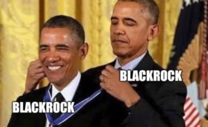 PHOTO Blackrock Obama Fox News Stake Meme