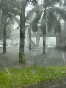 PHOTO Entrance To Fort Lauderdale Airport Was Blocked Due To Cars Being Abandoned