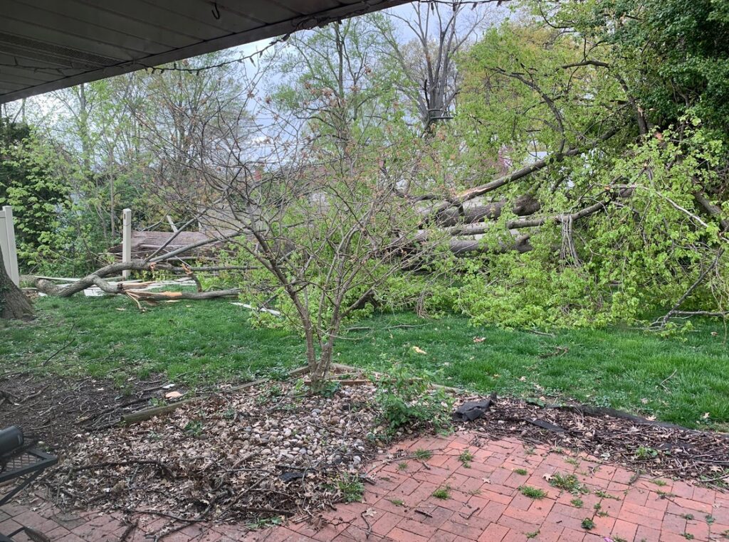 PHOTO People's Backyards In Belleville Illinois Were Leveled By Tornado