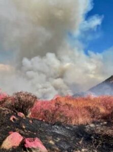 PHOTO Fire Crew Drew A Retardant Line And It Was Eaten Right Through By Ramona Fire That Spread 150+ In No Time