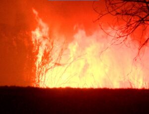 PHOTO Flames Rising 8 Feet High In Santa Ana Riverbottom As Eastvale Fire Grows