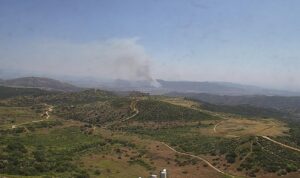 PHOTO Of Ramona Fire When It Was Only 10 To 15 Acres In Size Early This Morning