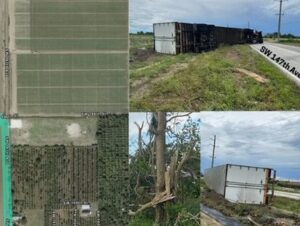 PHOTO Tornado Damage And Trees Snapped In Miami