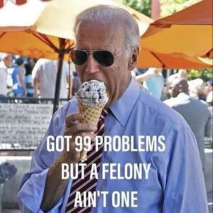 PHOTO Got 99 Problems But A Felony Ain't One Joe Biden Meme