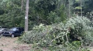 PHOTO Downed Trees Were Spotted Everywhere In Keene NH After Tornado