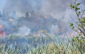 PHOTO Of How Close Flames Came To Buildings In Oceanside On Sunday