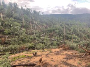 PHOTO Of Path Of Destruction From Pikes Peak Tornado In Colorado