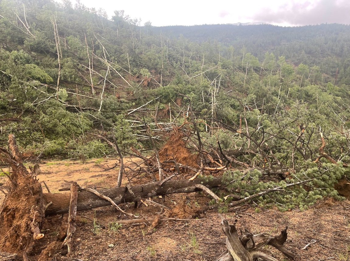 PHOTO Of Path Of Destruction From Pikes Peak Tornado In Colorado