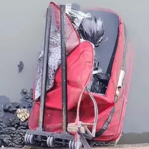 PHOTO Of The Red Suitcase Fernando Pérez Algaba's Remains Were Found In