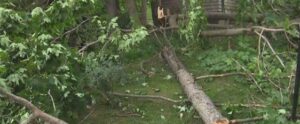 PHOTO Of Tornado Damage At Dublin School In New Hampshire