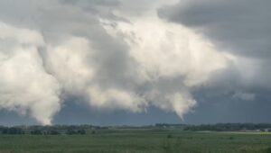 PHOTO Of Tornado From Plato Township Illinois