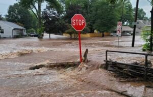 PHOTO Shark Swimming Down The Street In Washington Crossing Pennsylvania