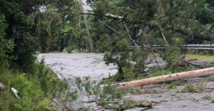 PHOTO Torando Damage In Roxbury NH