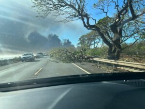 PHOTO All Roads Back To Kaanapali Area Are Blocked From Downed Power Lines And Trees