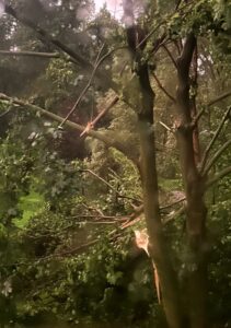 PHOTO Close Up Of Tornado Damage In Comstock Park Michigan