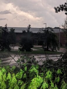 PHOTO Downed Trees Everywhere In Comstock Park From Tornado