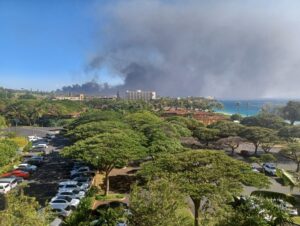 PHOTO Houses In Kaanapali Hills Burning Down