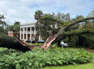 PHOTO Massive Tree Falls On Governor’s Mansion In Tallahassee After Hurricane Hits Area