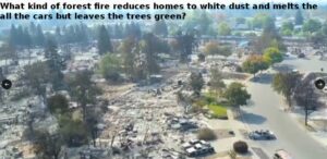 PHOTO Maui Fired Reduced Homes To White Dust All Cars Melted Down To The Frames But Trees Surrounding It All Are Green