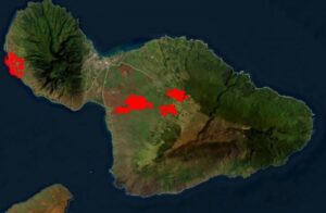 PHOTO Maui Fires Heat Map Shows All 4 Fires Started The Same Night