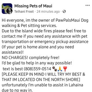 PHOTO PawPalsMaui Is Offering Free Assistance For Residents Pets In North Shore During Maui Wildfire