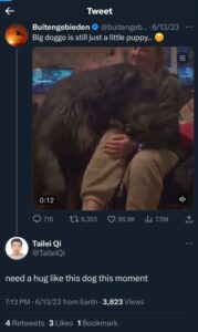 PHOTO Tailei Qi Jealous Of A Dog Getting A Hug Because He Wants That For Him