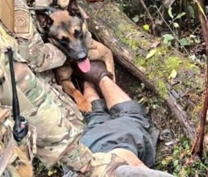 PHOTO Danelo Cavalcante Hiding Under Brush While K9 And Police In Camouflage Capture Him
