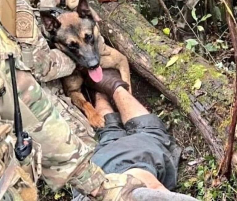 PHOTO Danelo Cavalcante Hiding Under Brush While K9 And Police In