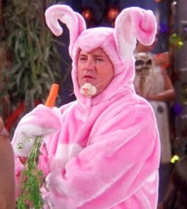 PHOTO Matthew Perry Dressed Up In Bright Pink Bunny Costume For Halloween