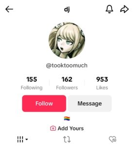 PHOTO Of Mass Shooter Dylan Butler's TikTok Account Showing Je Had 162 Followers And A LGBTQ Flag On His Profile