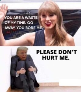PHOTO You Are A Waste Of my Time Go Away You Bore Me Taylor Swift Vs Please Don't Hurt Me Donald Trump Meme