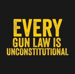 PHOTO Every Gun Law Is Unconstitutional Meme