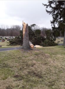 PHOTO Large Tree Trunk Just Snapped In Deercreek Township Cemetery In Lafayette Ohio