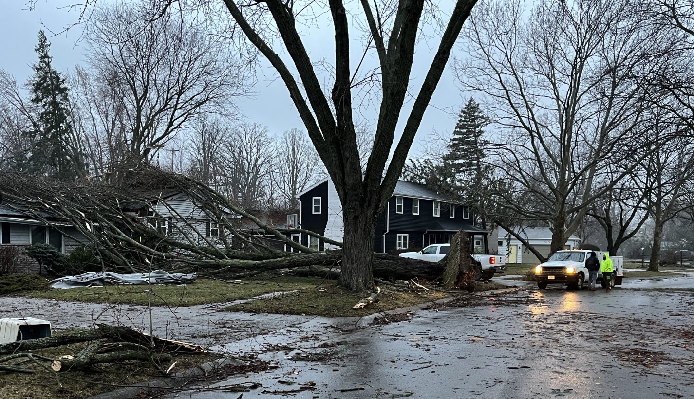 PHOTO Power Lines And Storm Damage Still Everywhere In Grand Blanc Michigan