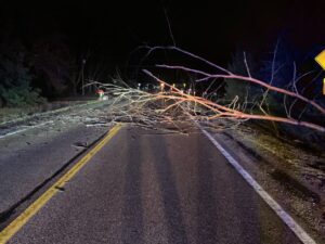 PHOTO Roads In Grand Blanc Michigan Still Blocked By Downed Trees And Tornado Debris