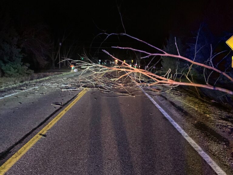 PHOTO Roads In Grand Blanc Michigan Still Blocked By Downed Trees And