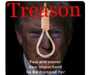 PHOTO Treason You Are Never Too Important To Be Hanged For Donald Trump Meme