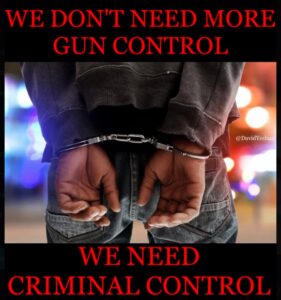 PHOTO We Don't Need More Gun Control We Need Criminal Control Meme