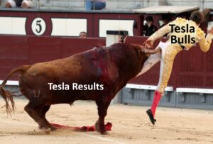 PHOTO Tesla Bulls Vs Tesla Results Meme