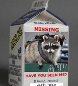 PHOTO Missing Have You Seen Me If Found Contact John Prior Chad Daybell Trial Meme