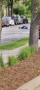 PHOTO Of Minneapolis Police Officer Laying Dead Face Down On The Cement After Mass Shooting