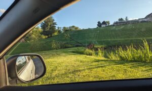 PHOTO Uprooted Trees Everywhere After Finleyville Pennsylvania Tornado