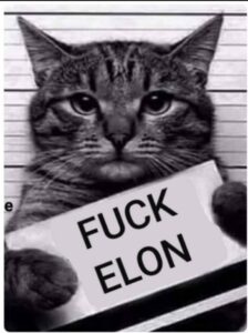 PHOTO F*ck Elon Cat Meme