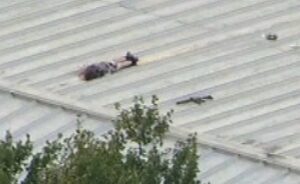 PHOTO Zoomed Out Version Of Thomas Crooks Laying Dead Facedown After Police Shot Him