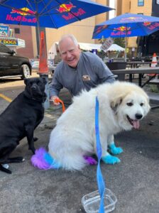 PHOTO Tim Walz Loves Dogs