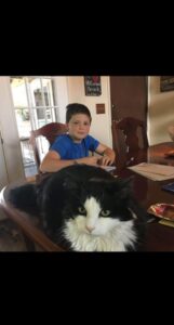 PHOTO Colt Gray At Family Kitchen Table With The Pet Cat