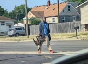 PHOTO Illegal Haitians In Springfield Ohio Carrying Dead Cat Down The Street