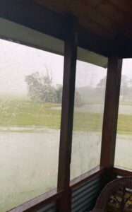 PHOTO Of Farm In Morgan City Flooded By Hurricane